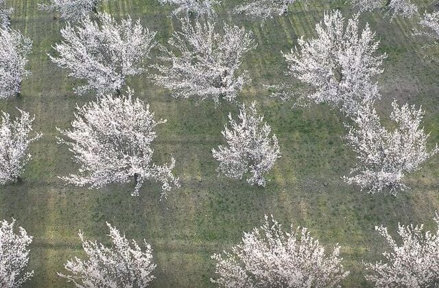 Akdeniz değil Doğu’nun Çukurova’sı! Görüntüler mest etti