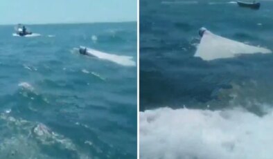 İran, ABD İHA’sını düşürdü