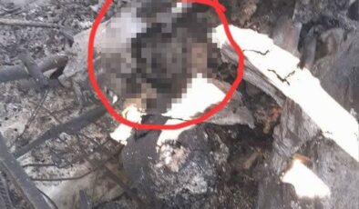 İran’dan düşürülen askeri uçakta ABD askerine ait vücut parçasının tespit edildiği iddiası