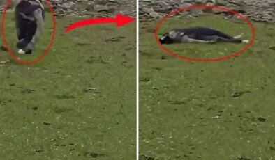 İsrail’den Suriye topraklarına baskın! Sivillere ateş açtılar