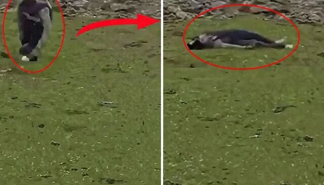 İsrail’den Suriye topraklarına baskın! Sivillere ateş açtılar