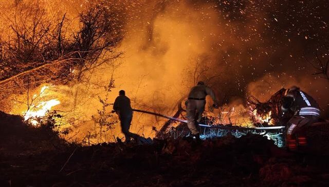 İstanbul Beykoz’daki orman yangını kontrol altına alındı