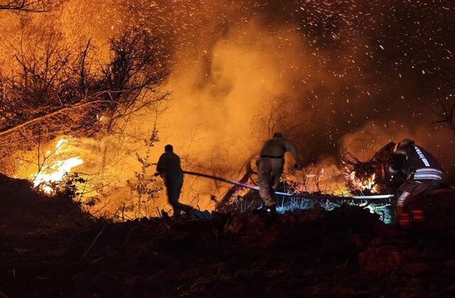 İstanbul Beykoz’daki orman yangını kontrol altına alındı
