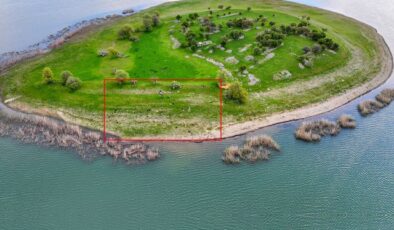 İsviçre değil Türkiye! Uyanık besici çoban masrafından böyle kurtuldu