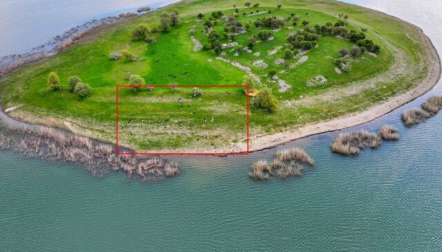 İsviçre değil Türkiye! Uyanık besici çoban masrafından böyle kurtuldu