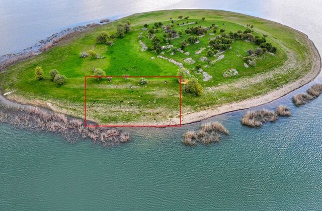 İsviçre değil Türkiye! Uyanık besici çoban masrafından böyle kurtuldu