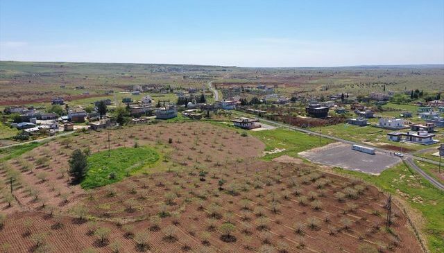 Japonların ve Çinlilerin gözü bu ilçede! Yıllarca devam edecek kazı başlıyor