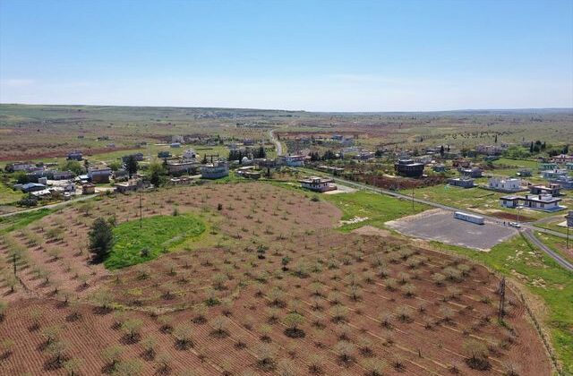 Japonların ve Çinlilerin gözü bu ilçede! Yıllarca devam edecek kazı başlıyor