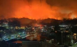 Japonya’nın Iwate eyaletinde orman yangını