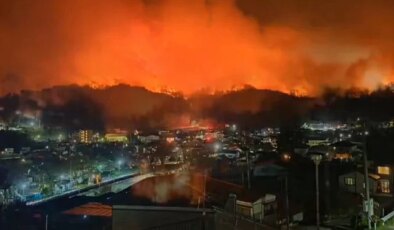Japonya’nın Iwate eyaletinde orman yangını