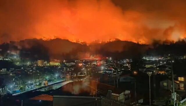 Japonya’nın Iwate eyaletinde orman yangını