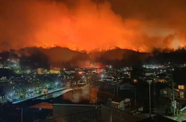 Japonya’nın Iwate eyaletinde orman yangını
