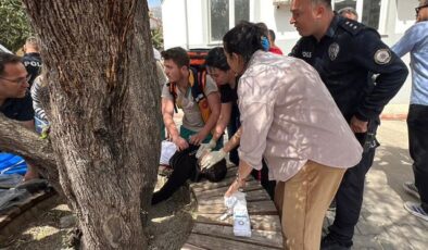 Kahramanmaraş okul saldırganı 5 silahı nereden buldu? Başsavcılık merak edilen soruya yanıt verdi