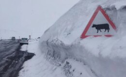 Kar kalınlığı tabela boyunu geçti