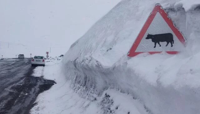 Kar kalınlığı tabela boyunu geçti