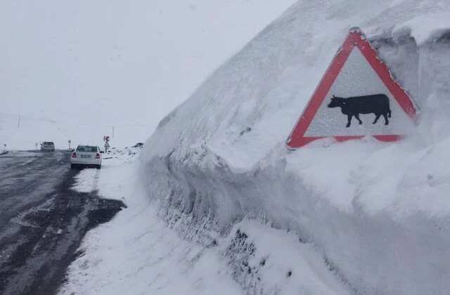 Kar kalınlığı tabela boyunu geçti