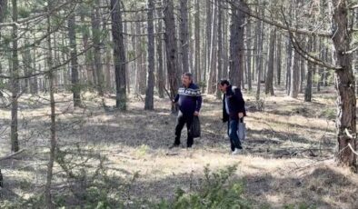 Kilosu bin 1500 liraya satılıyor! Tek seferde 6 kilo topladılar