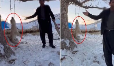 Çok yediği için köpeğini ağaca asıp öldüren şahıs tutuklandı