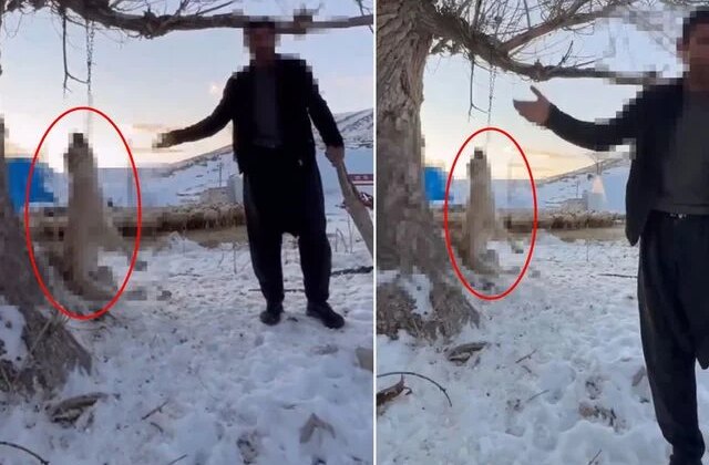 Çok yediği için köpeğini ağaca asıp öldüren şahıs tutuklandı