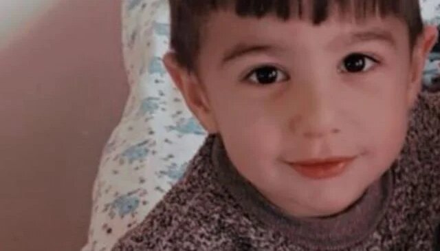 Köpek dehşetinde flaş gelişme: Belediye personeli gözaltına alındı