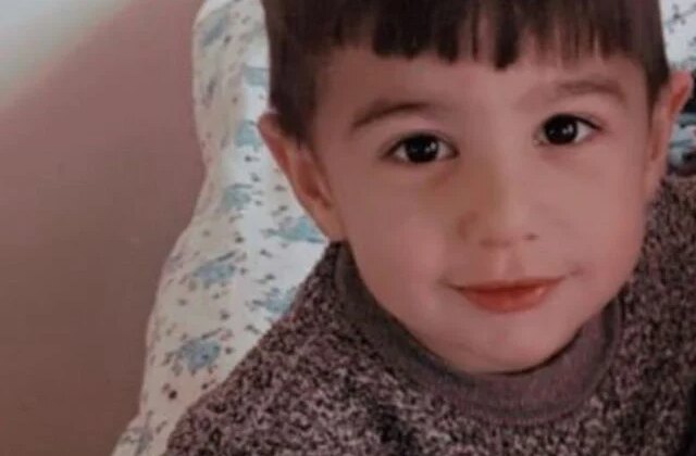 Köpek dehşetinde flaş gelişme: Belediye personeli gözaltına alındı