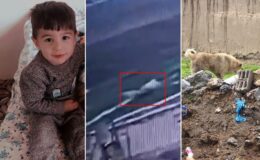 5 yaşındaki Hamza’nın can verdiği köpek dehşetinin görüntüleri ortaya çıktı