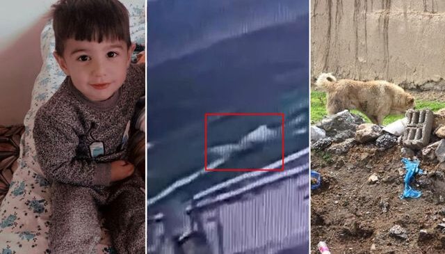 5 yaşındaki Hamza’nın can verdiği köpek dehşetinin görüntüleri ortaya çıktı