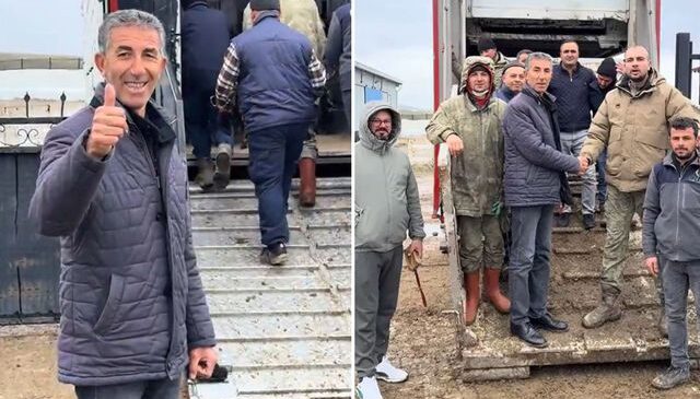 Koyun satın alırken Türkiye’de bir ilki gerçekleştirdi