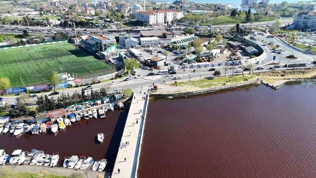İstanbul’un göbeğindeki gölde korkutan görüntü