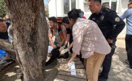 Kahramanmaraş’taki saldırıdan sonra ortaya çıktılar! Telegram’dan örgütlenen provokatörler tespit edildi