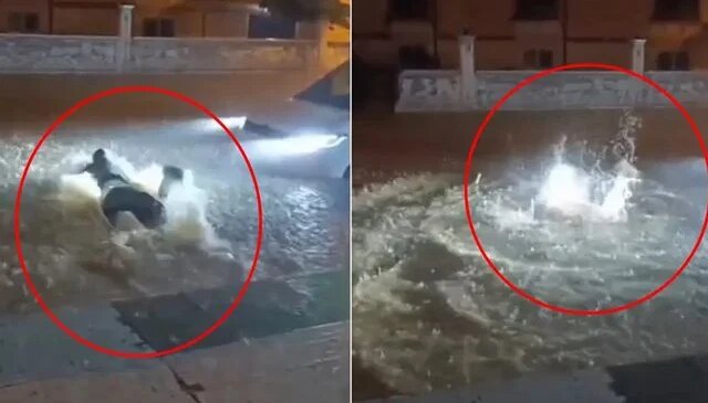 Mardin’de kuvvetli sağanak sonucu cadde ve sokaklar sular altında kaldı