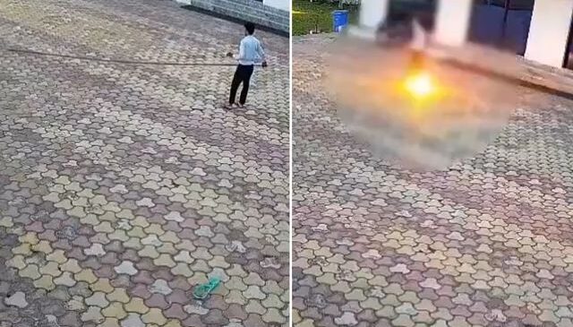 Maymunu kovmaya çalışırken canından oldu