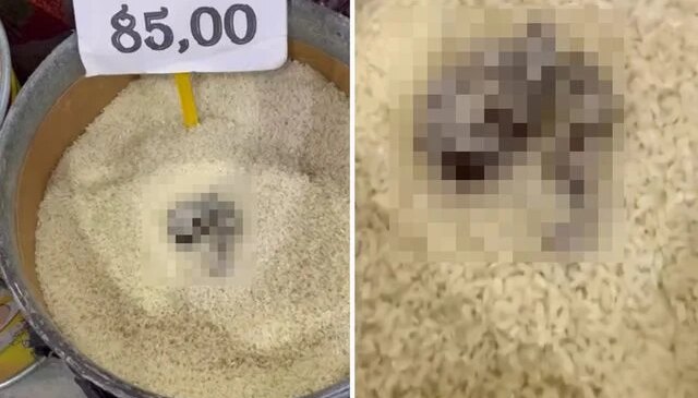 Açıkta satılan pirinçte kedi dışkısı görüldü, markete 52 bin TL ceza kesildi
