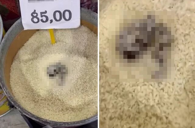 Açıkta satılan pirinçte kedi dışkısı görüldü, markete 52 bin TL ceza kesildi