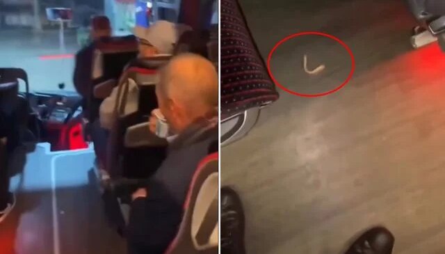 Muavin otobüste düşen takma dişin sahibini aradı: Bahattin ağabey dişin ağzında mı?