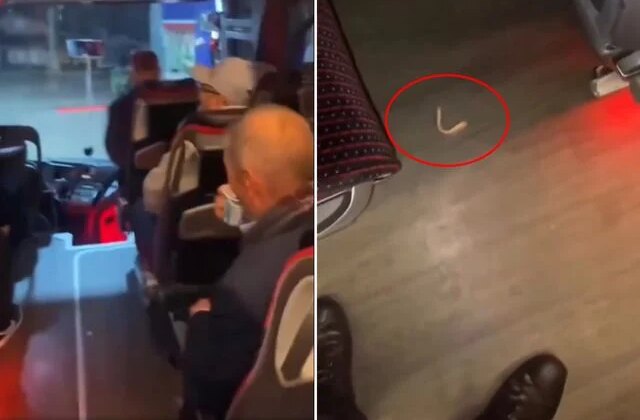 Muavin otobüste düşen takma dişin sahibini aradı: Bahattin ağabey dişin ağzında mı?