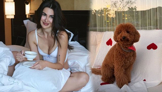 Nesrin Cavadzade’den köpeği Dolce’ye doğum günü partisi