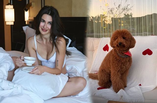 Nesrin Cavadzade’den köpeği Dolce’ye doğum günü partisi