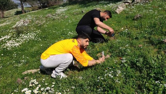 Ömrü 10 gün, koparmanın cezası araba parası