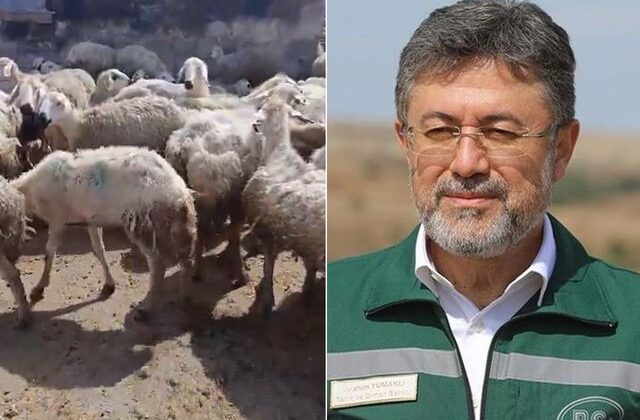 “Örnek üreticiye” bakanlıktan mera yanıtı