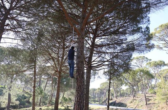 “Örümcek Adamlar” iş başında