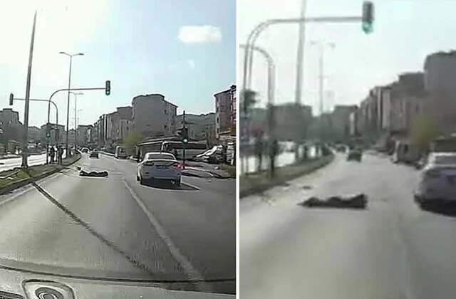 Otomobilin çarptığı üniversite öğrencisi yaralandı