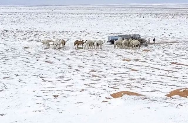 Suudi Arabistan’da çöller dolu yağışıyla beyaza büründü
