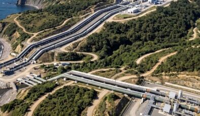 Sırbistan’da TürkAkım boru hattı yakınlarında patlayıcı madde bulundu