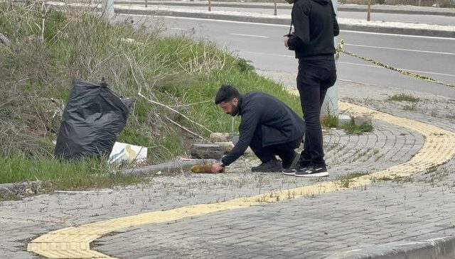 Sivas’ta yol kenarında havan topu mermisi bulundu