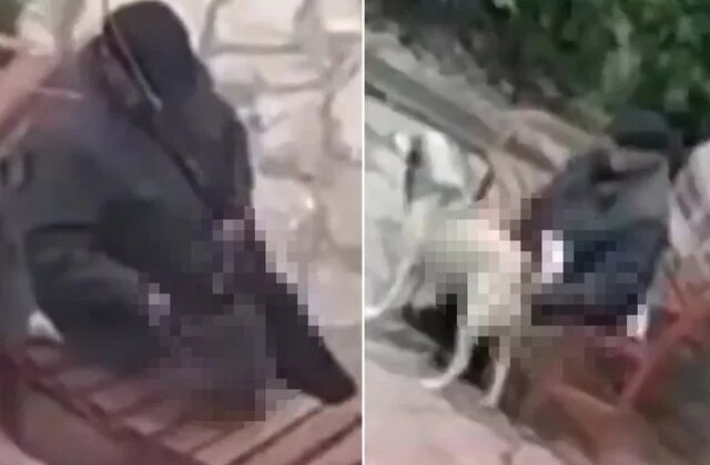 Skandal görüntü! Parktaki sokak hayvanlarını istismar etti