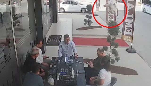 Sohbet masasına düşen davetsiz misafir kısa süreli paniğe neden oldu