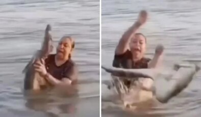 Suda kütük diye eline aldı, timsah çıktı! Yaşadığı şok kamerada