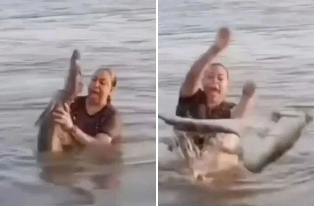 Suda kütük diye eline aldı, timsah çıktı! Yaşadığı şok kamerada