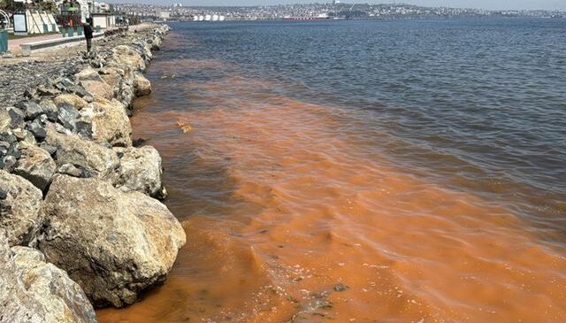 Görüntü Marmara’dan! Deniz turuncu renge büründü